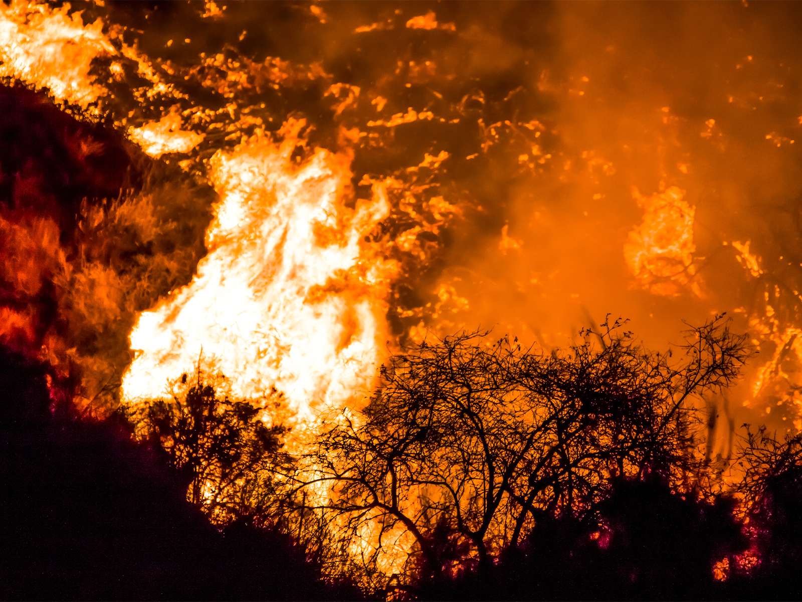 California Wildfires: Analyst View -  Abid Hussain, Insurance